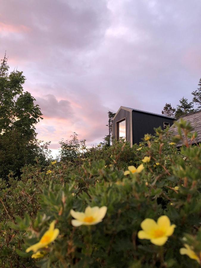 Tiny Home In Isle Of Skye-Pet Friendly Elgol Eksteriør billede