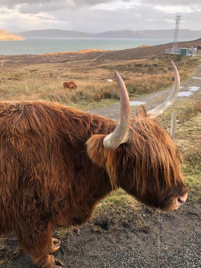 Tiny Home In Isle Of Skye-Pet Friendly Elgol Eksteriør billede